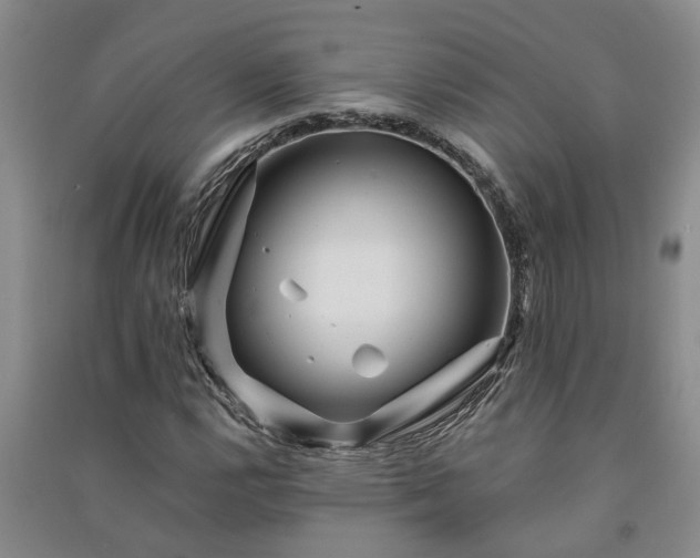 X0000091371112200708171539