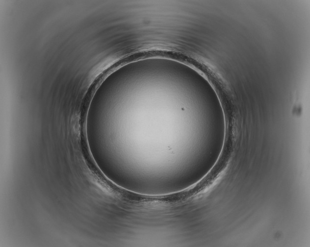 X0000091371113200708171539