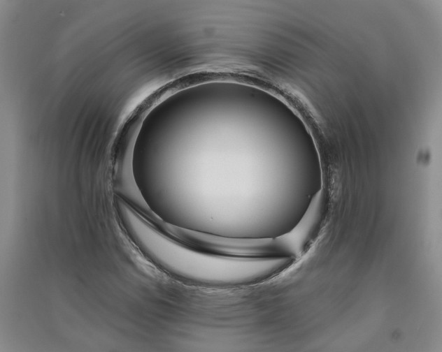 X0000091371114200708171539