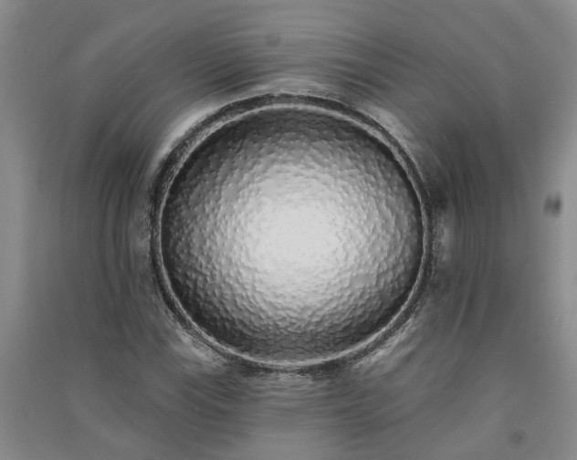 X0000091371115200708171539