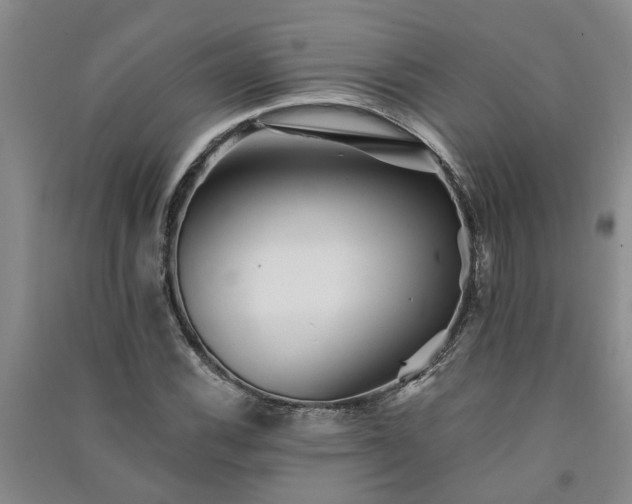 X0000091371116200708171539