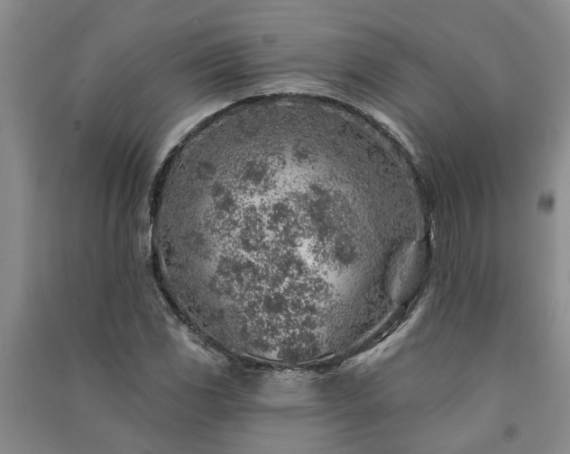 X0000091371117200708171539