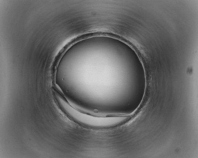 X0000091371118200708171539