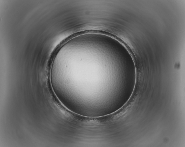 X0000091371119200708171539