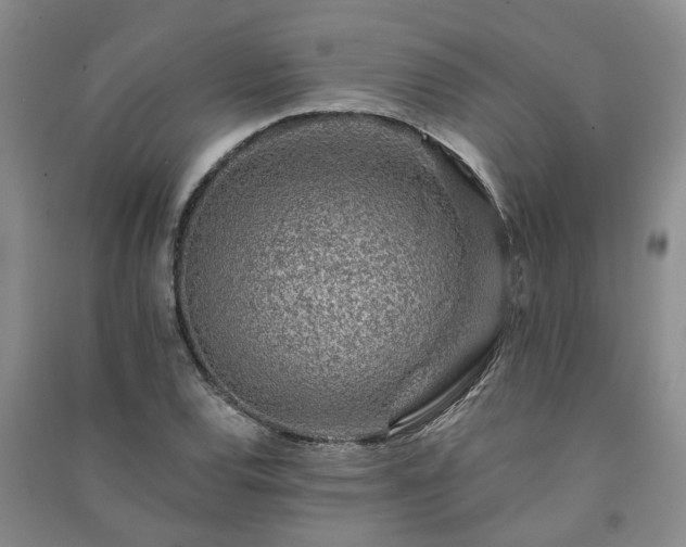 X0000091371120200708171539