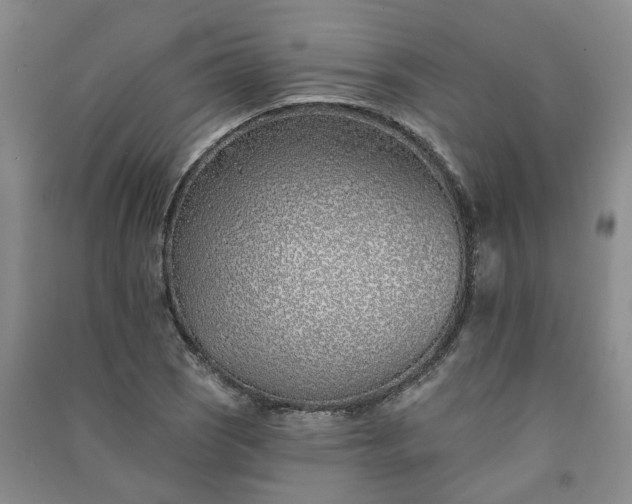 X0000091371121200708171539