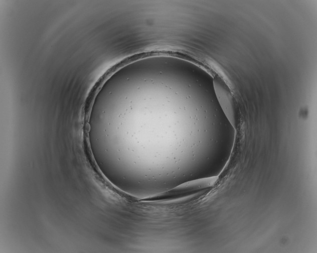 X0000091371124200708171539