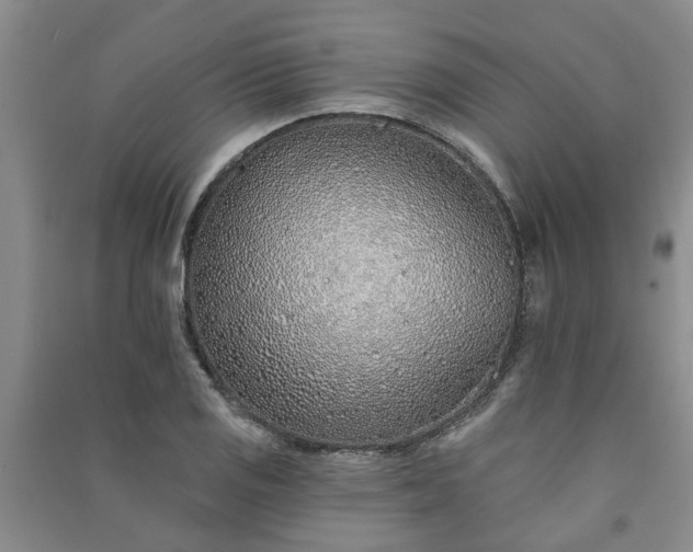 X0000091371125200708171539