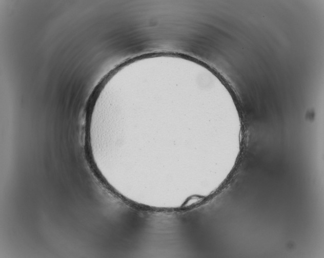 X0000091371126200708171539