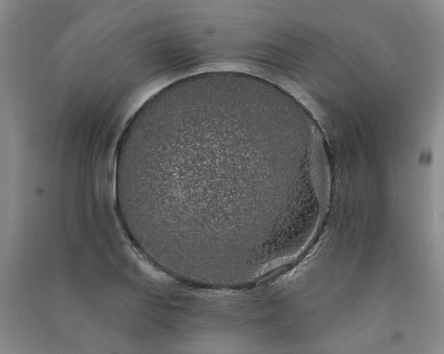 X0000091371127200708171539