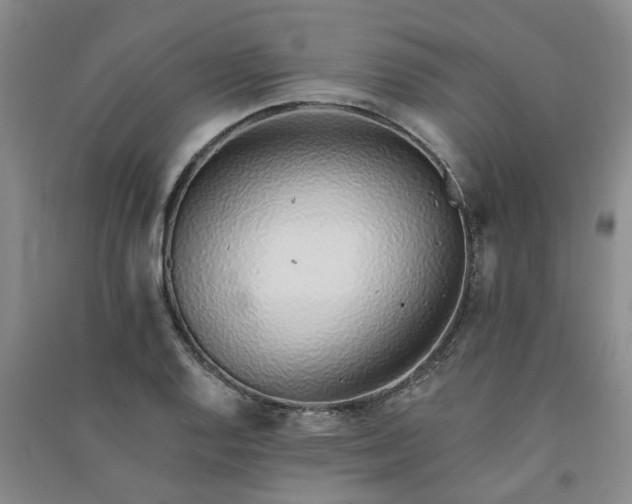 X0000091371128200708171539