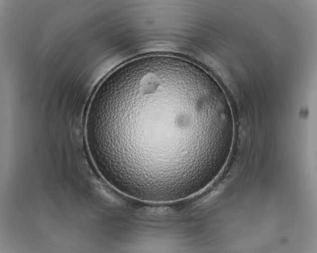 X0000091371129200708171539