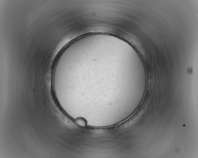 X0000091371130200708171539