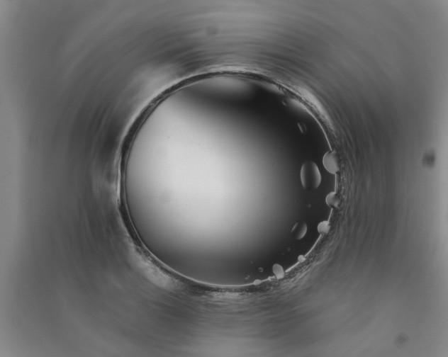 X0000091371132200708171539