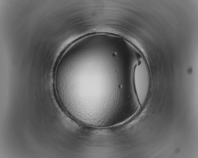 X0000091371133200708171539