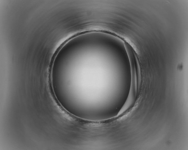 X0000091371134200708171539