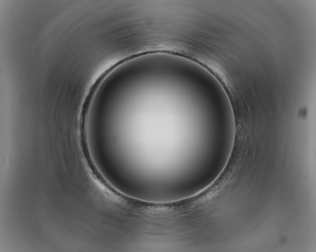 X0000091371135200708171539