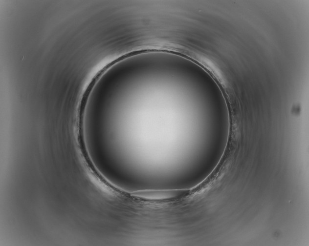 X0000091371136200708171539