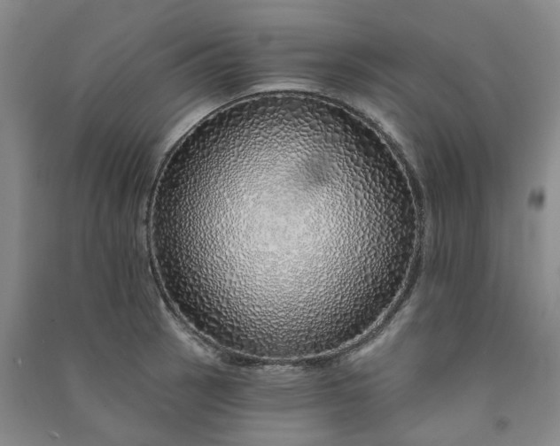 X0000091371137200708171539