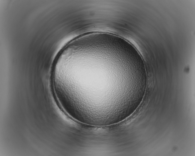 X0000091371139200708171539