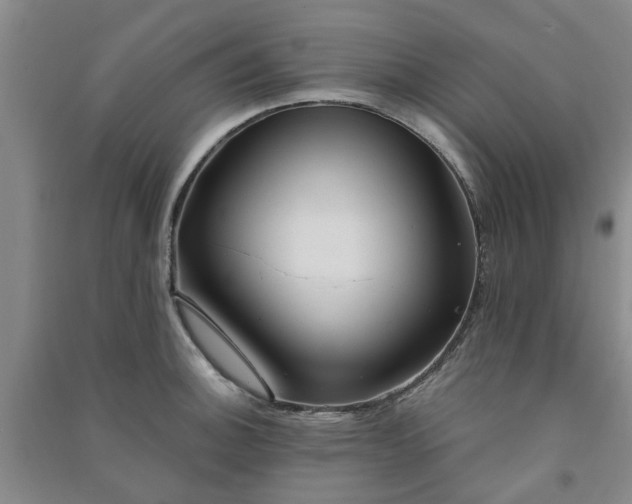 X0000091371140200708171539