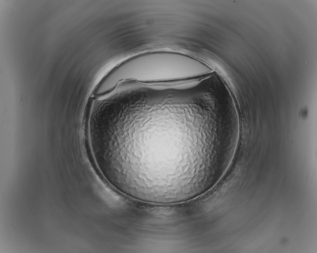 X0000091371141200708171539