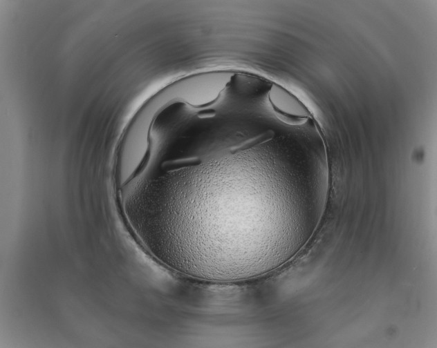 X0000091371142200708171539