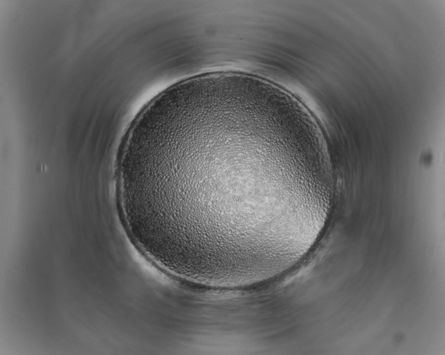 X0000091371143200708171539