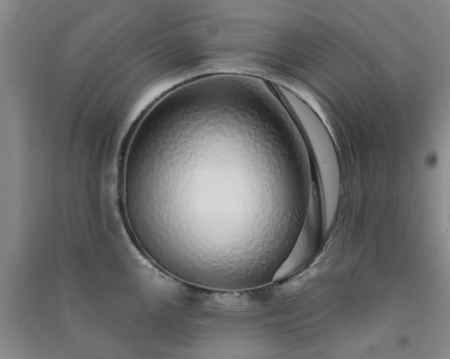 X0000091371147200708171539