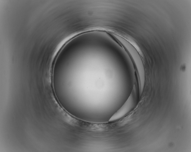 X0000091371148200708171539