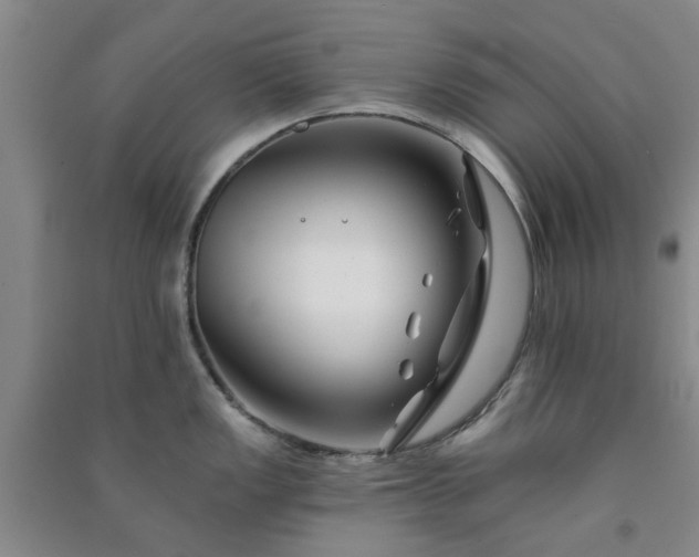 X0000091371149200708171539