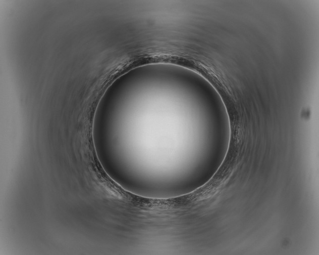 X0000091371153200708171539