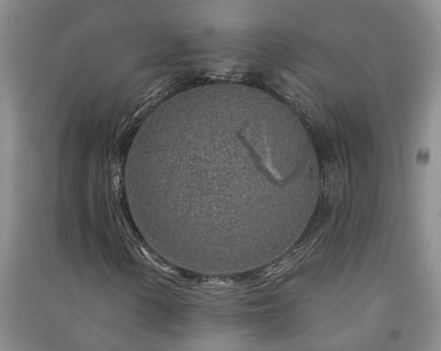 X0000091371154200708171539