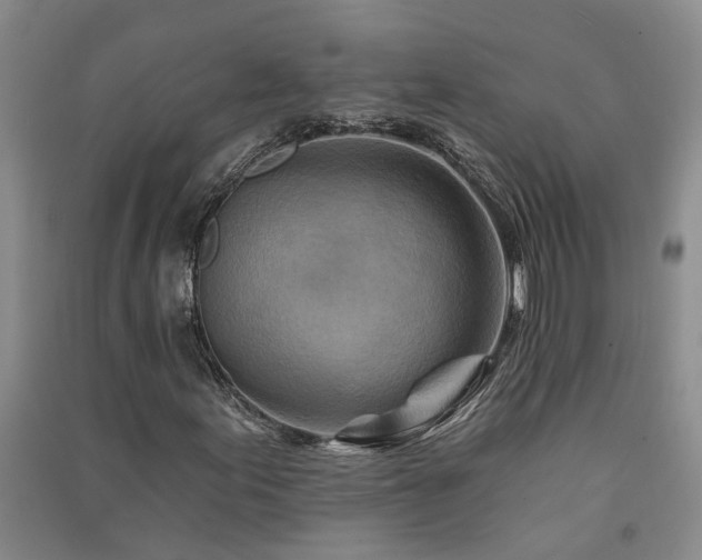 X0000091371155200708171539