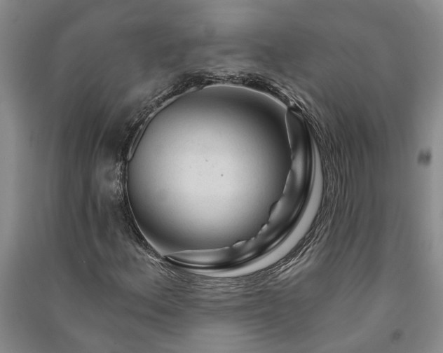 X0000091371156200708171539