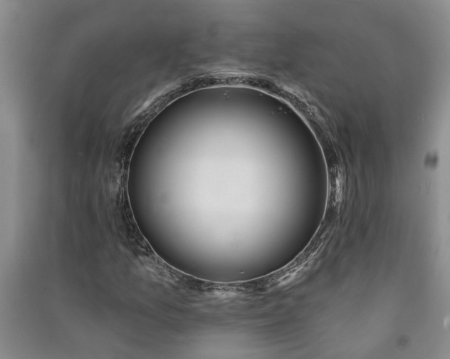 X0000091371157200708171539