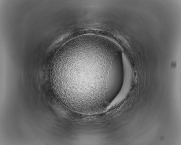 X0000091371159200708171539