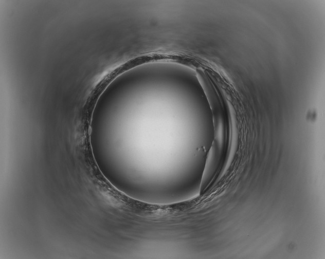 X0000091371160200708171539