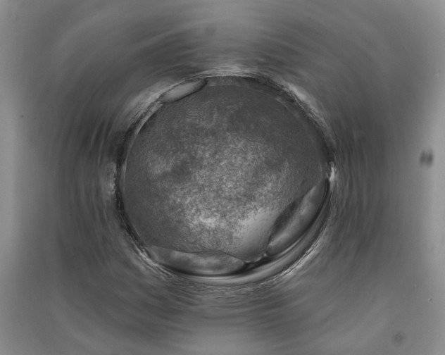 X0000091371161200708171539