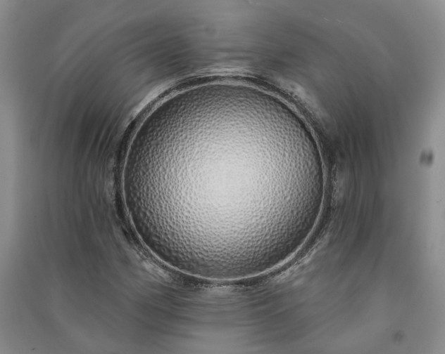 X0000091371162200708171539