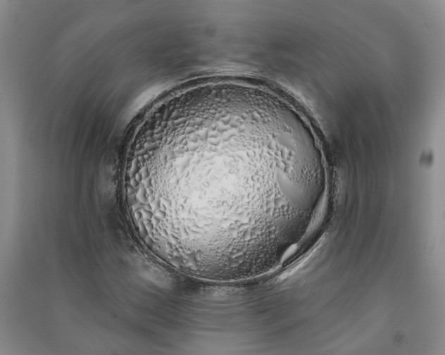 X0000091371163200708171539