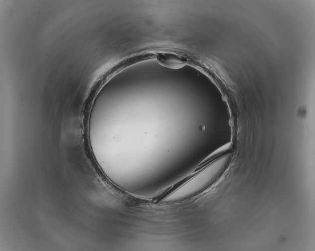 X0000091371164200708171539