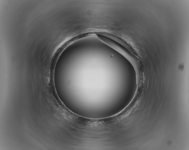 X0000091371165200708171539