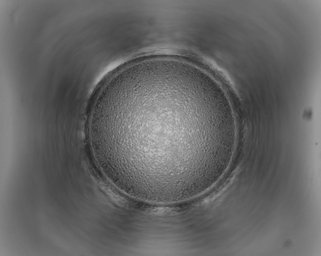 X0000091371166200708171539