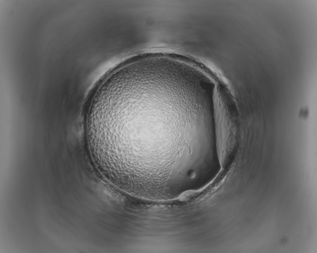 X0000091371167200708171539