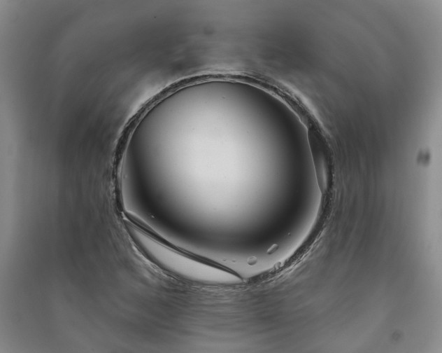 X0000091371168200708171538