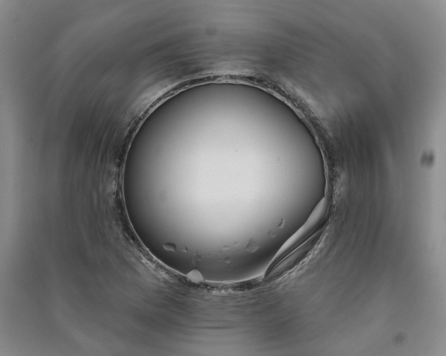 X0000091371169200708171538