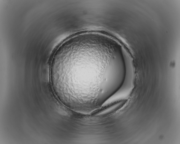 X0000091371171200708171538