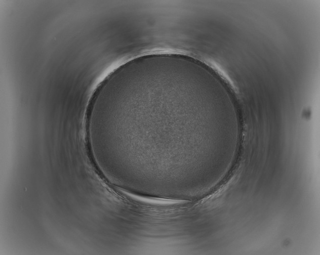 X0000091371173200708171538