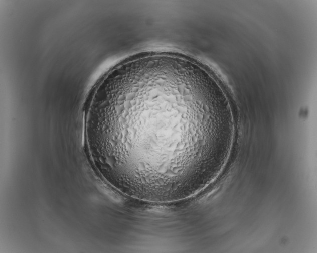 X0000091371175200708171538